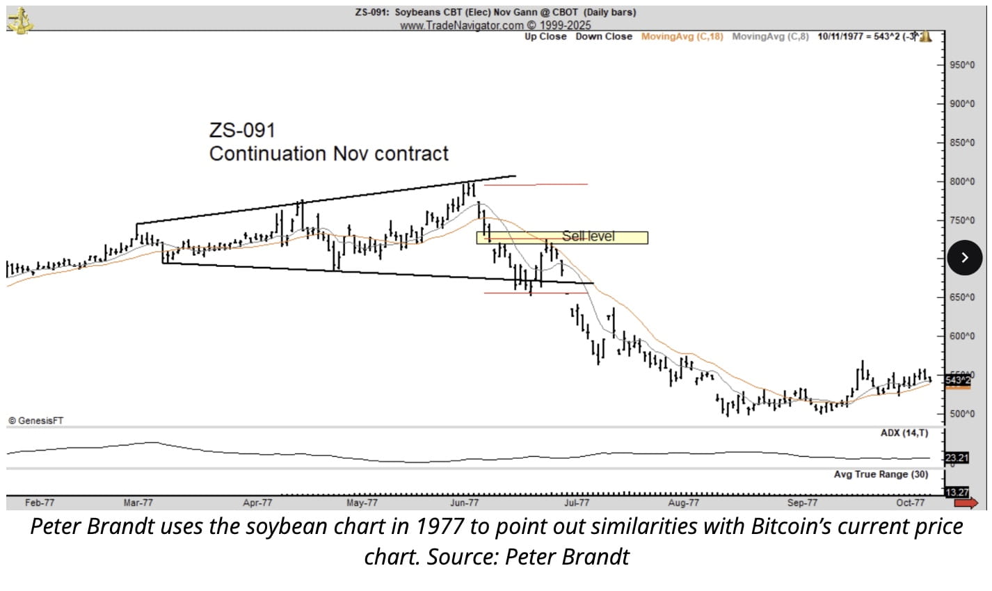 Bitcoin News: Peter Brandt Warns Bitcoin May Mirror 1970s Soybean Crash,  Targeting $60K | Binance News on Binance Square
