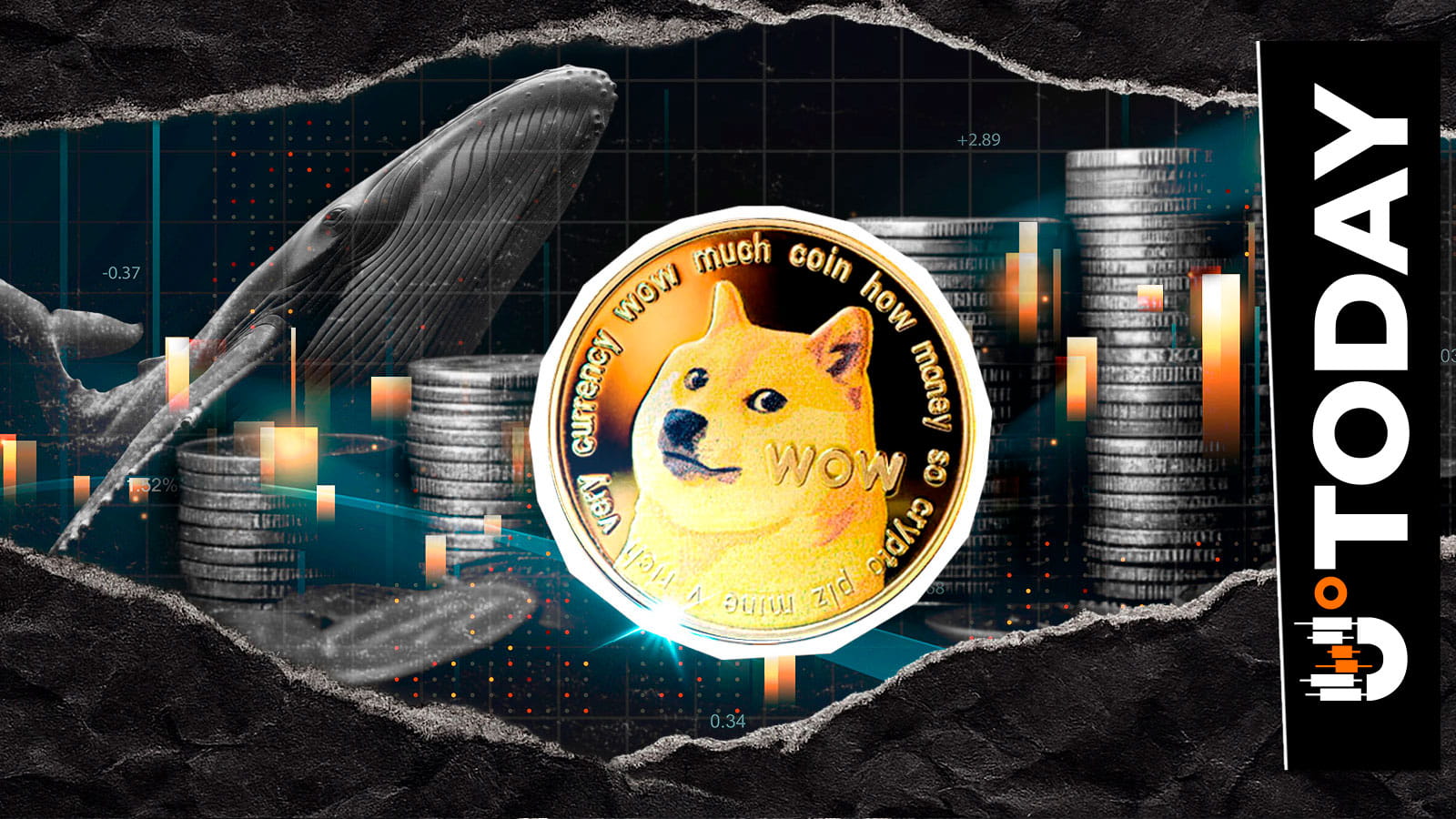 Los principales tenedores de Dogecoin venden 3,000,000,000 DOGE mientras el  precio de la moneda meme se desploma | U.today en Binance Square