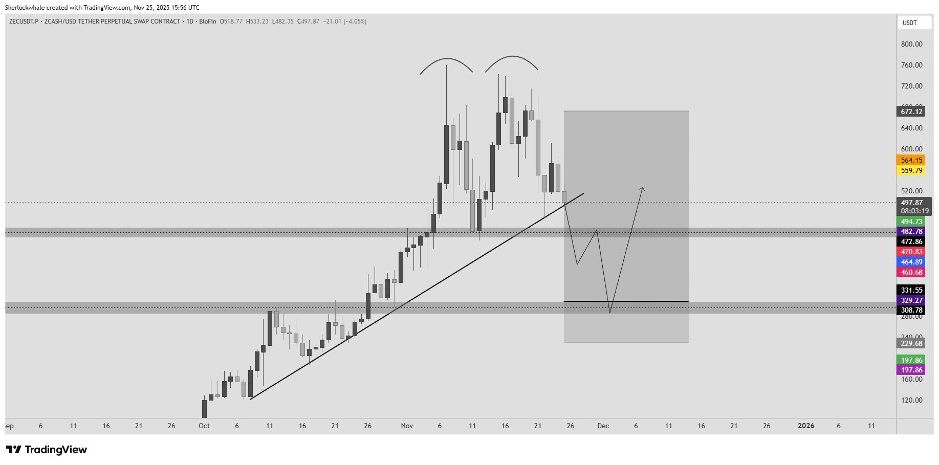 ZEC 日線VWAP 重要分析| 幣安廣場上的ONCHAIN INSIGHTS