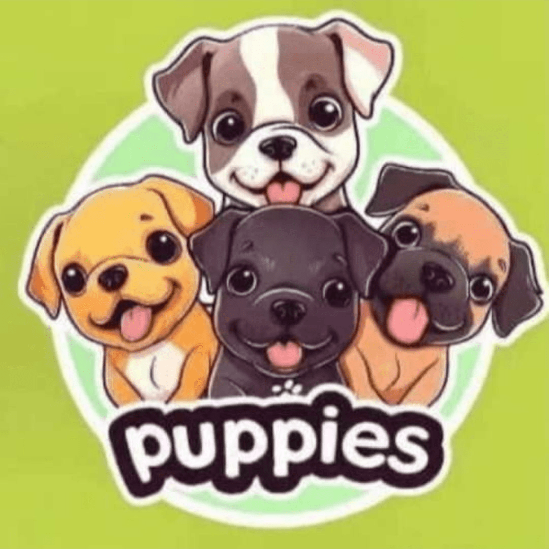 幸运咖puppiess profil | Binance Square