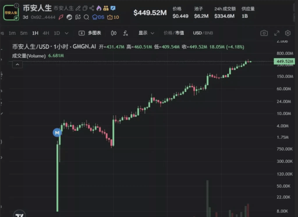 $幣安人生