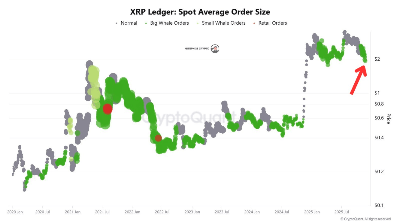 XRP价格走弱，鲸鱼订单激增超过40% | BeMaster BuySmart发布于币安广场