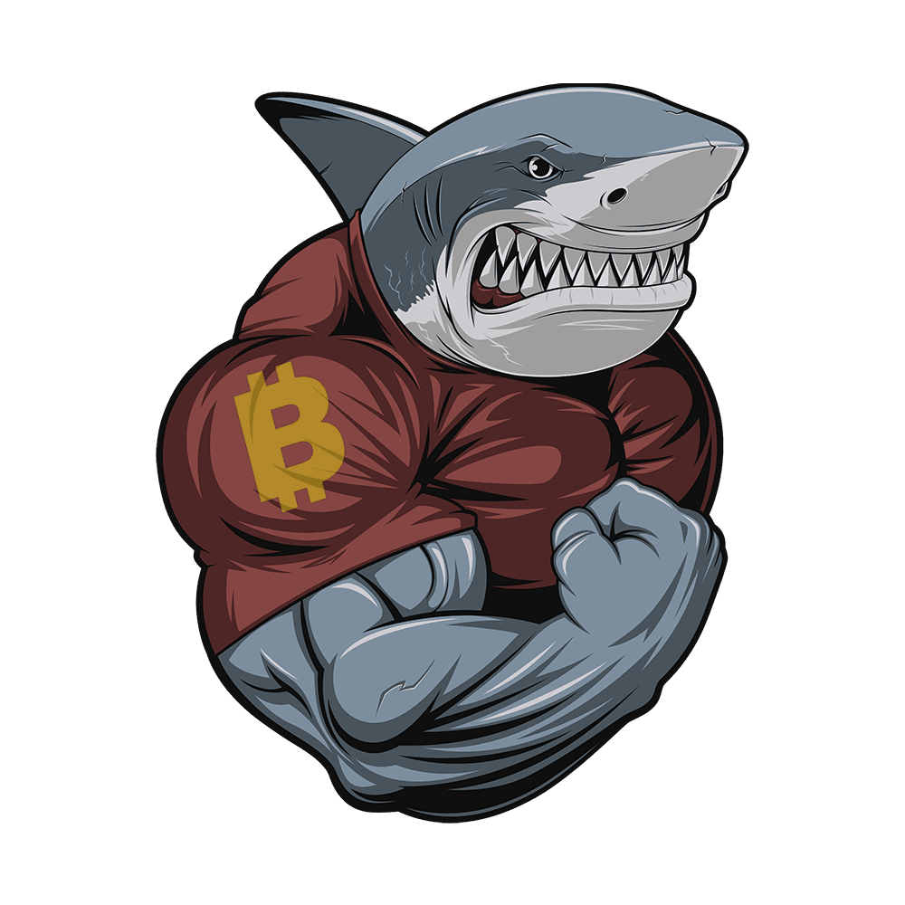 Tiburon-23のプロフィール | Binance Square