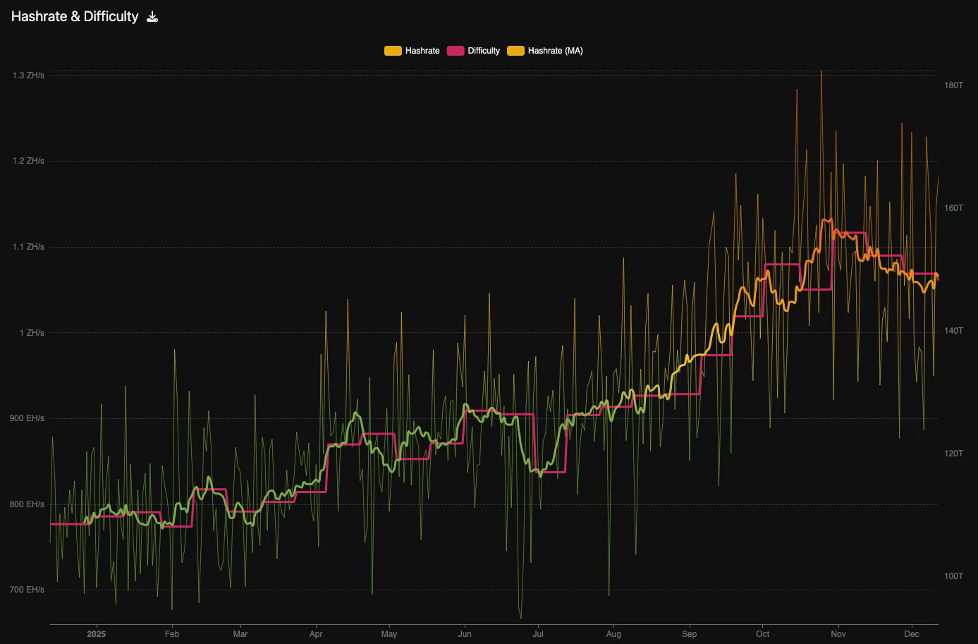 Bitcoin network hashrate. Nguồn: Mempool