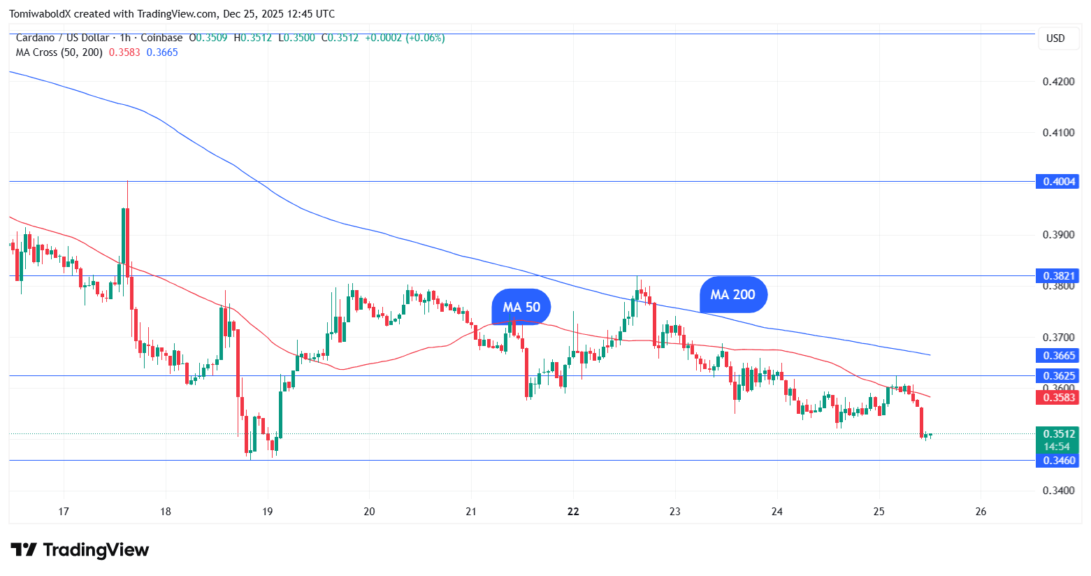 TradingView