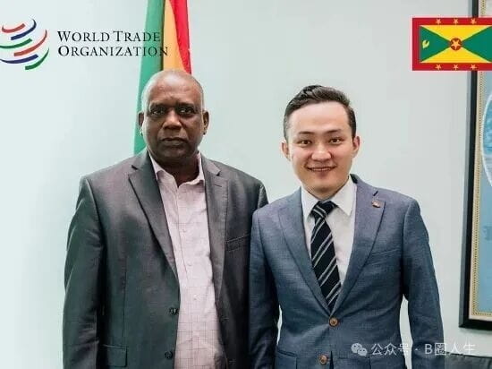 视频| 孙宇晨如何从币圈华丽转身成一国大使?|WTO|格林纳达|格林纳达|孙宇晨|WTO_手机新浪网