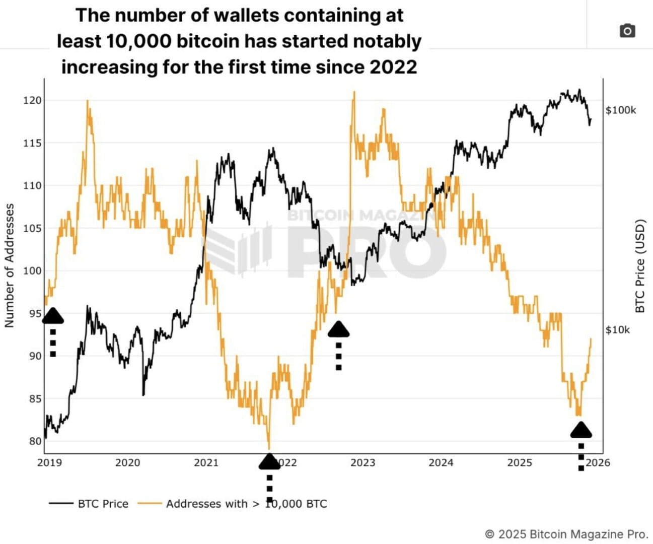 🌻Las Ballenas se despiertan, ¿señal positiva o alerta para el BTC? Bitcoin  el 6 de diciembre | GOROBRI en Binance Square
