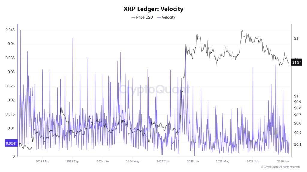 XRPs-network-velocity-spiked-40-in-24-hours-signaling-renewed-on-chain-activity