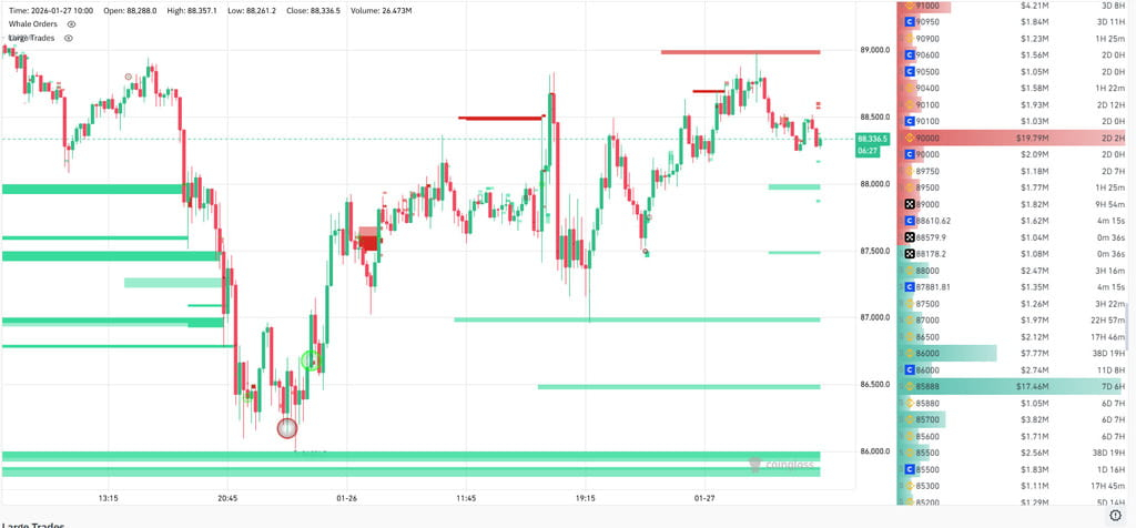 bitcoin whales ballenas