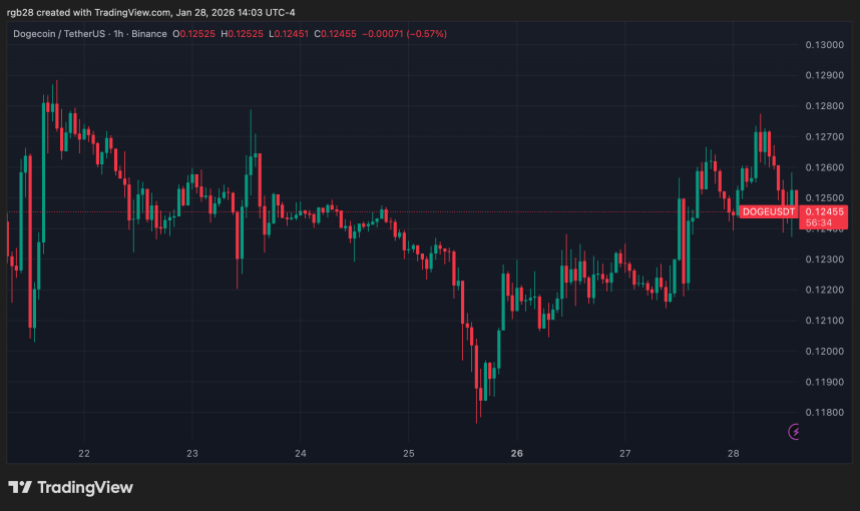 狗狗币，doge，dogeusdt