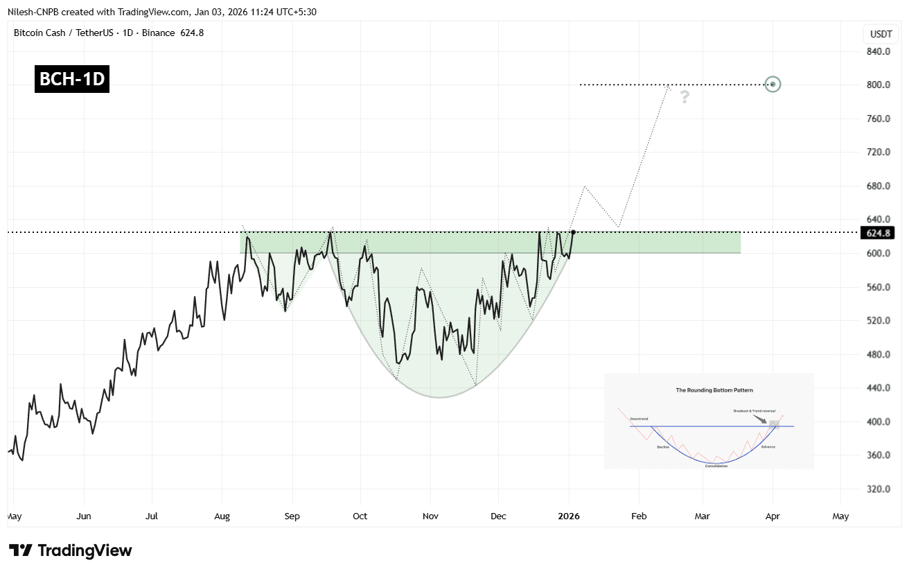 比特币现金（BCH）是否准备迎来看涨突破？这个关键的模式形成暗示如此！ | CoinsProbe发布于币安广场