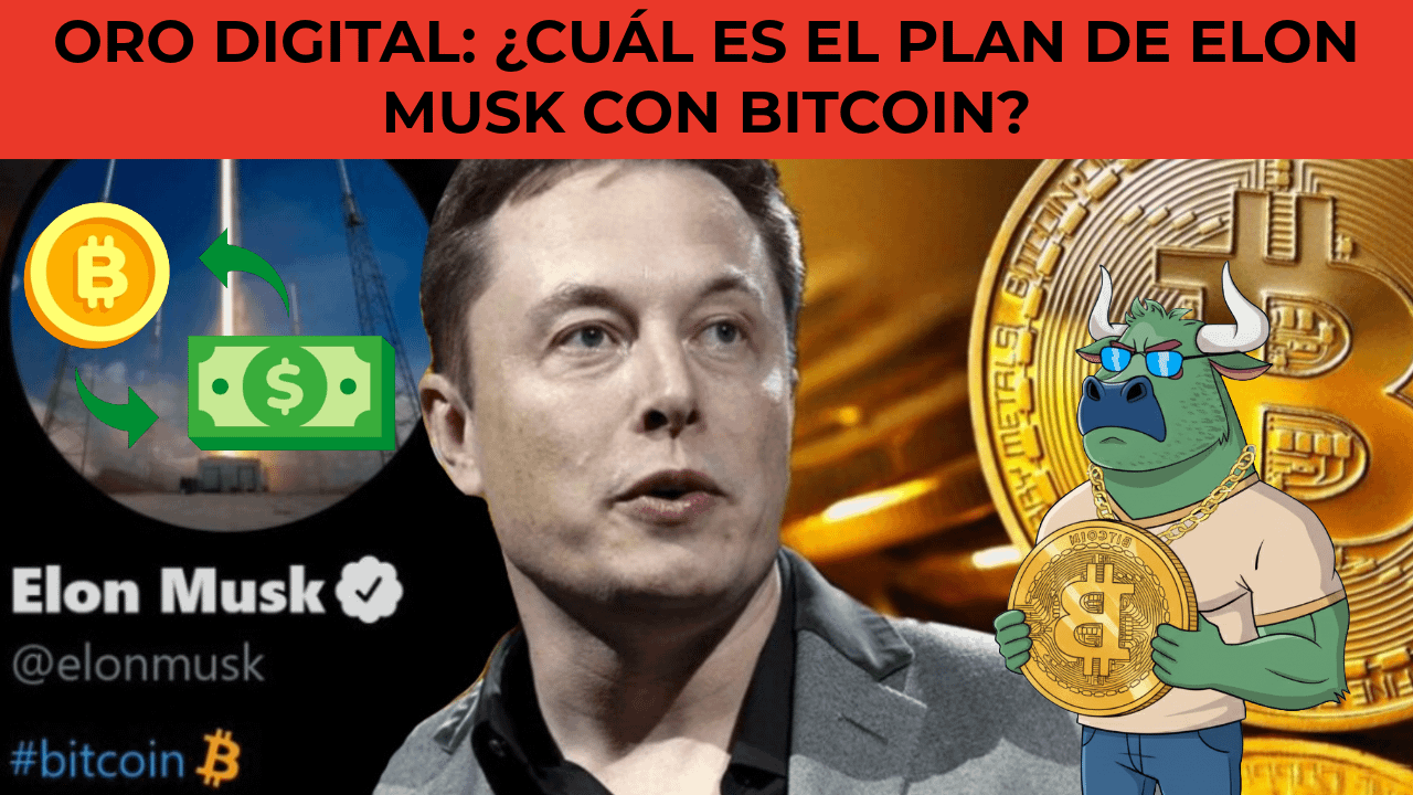 Precio de hoy de Bitcoin | Precio en tiempo real, cap. de mercado y gráfico  de BTC a USD