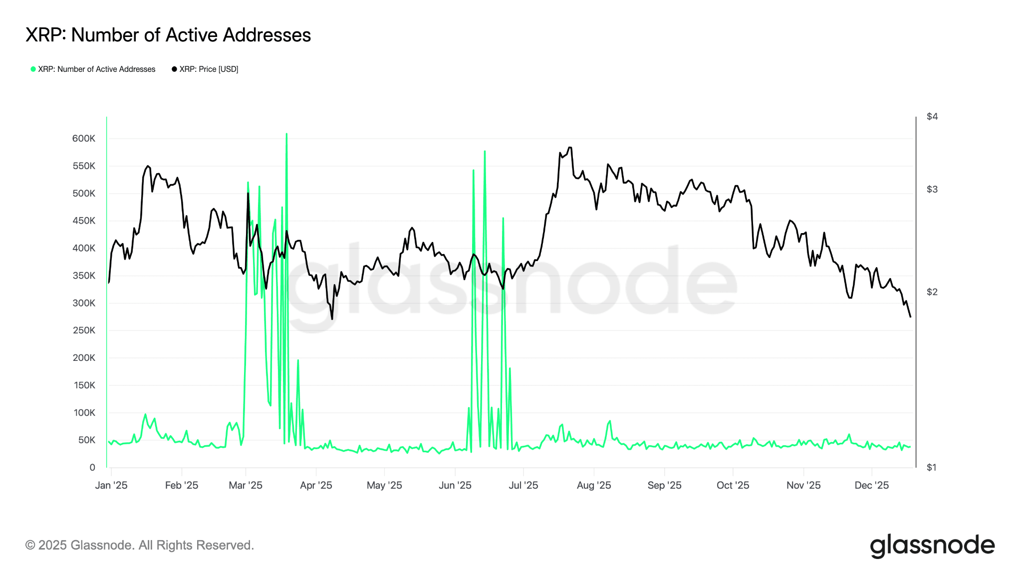 Cộng đồng XRP đã có được mọi thứ trừ mức giá 5 đô la: Liệu năm 2026 có mang lại điều đó?<br />