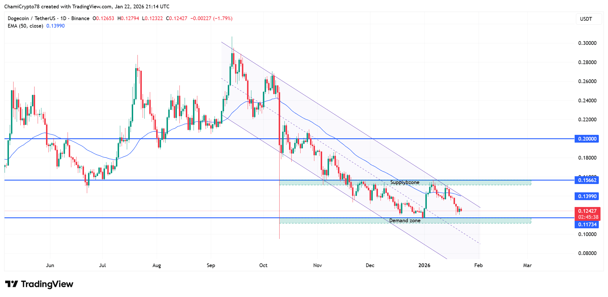 狗狗币价格预测