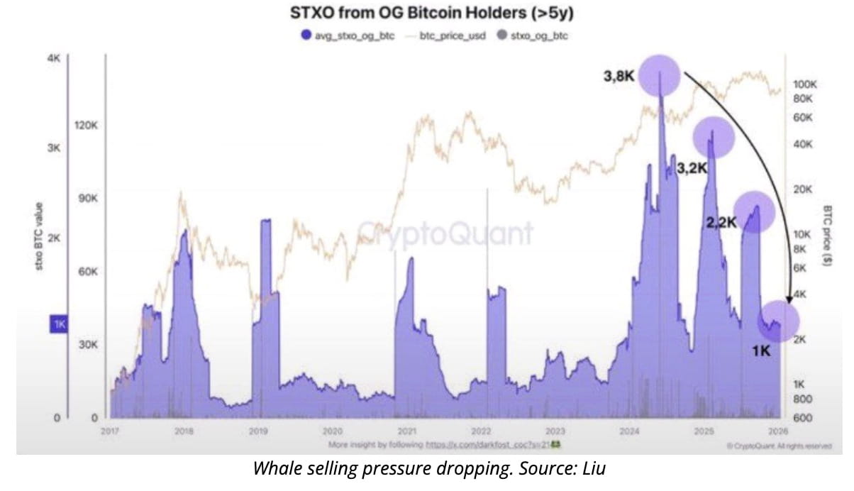 Bitcoin News Today: Bitcoin Institutional Demand Remains Strong Despite  Market Volatility, According to CryptoQuant | Binance Square ရှိ Binance  News