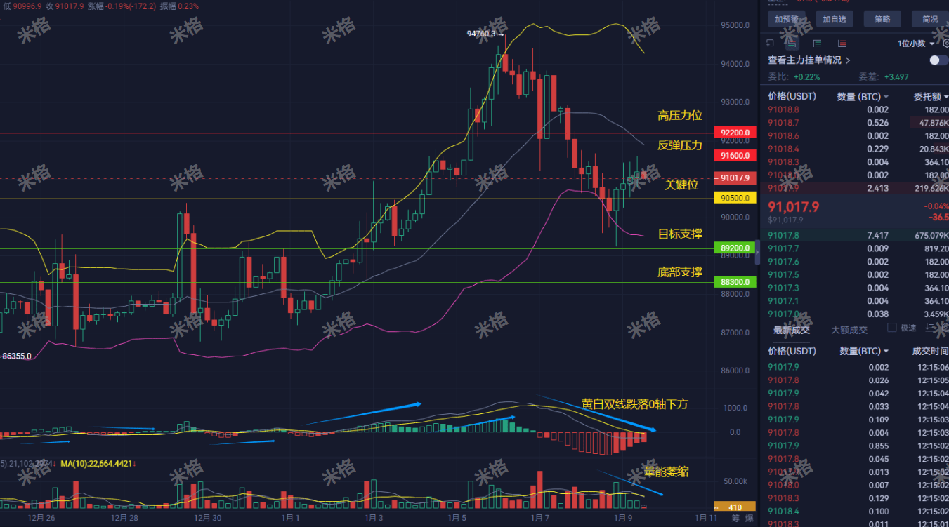 Dringende Analyse! Die amerikanische Regierung könnte direkt in Bitcoin  einkaufen, wird BTC heute explodieren oder crashen? Der entscheidende Punkt  bei 91600 steht kurz bevor, Achtung vor diesem gefährlichen Signal! | 分析师米格  auf