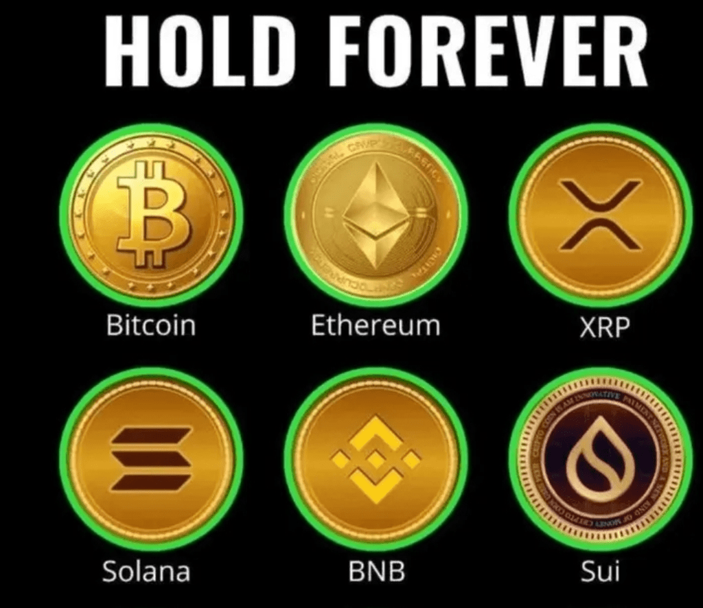 6 Monedas que Puedes Mantener para Siempre — Una Lista de Convicción a  Largo Plazo | Trader Rai en Binance Square