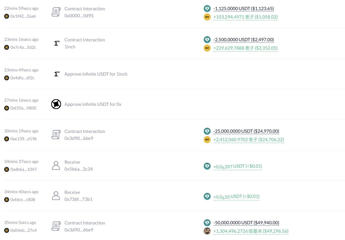 Whale Movements Alert BNB Chain acquires Chinese meme coins | 哈世链闻 Hashnews  on Binance Square