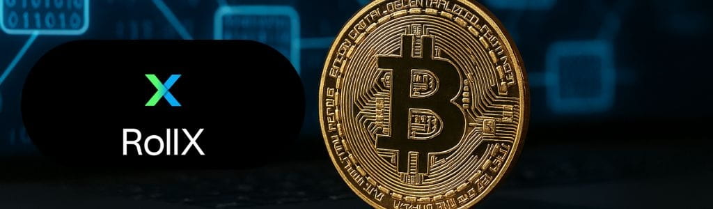 How Does RollX Work?