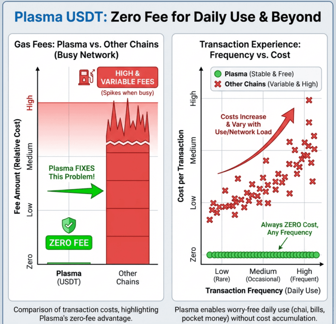 PLASMA Project hidden data, information that others do not know |  LD老毒先生_万币侯财链 on Binance Square