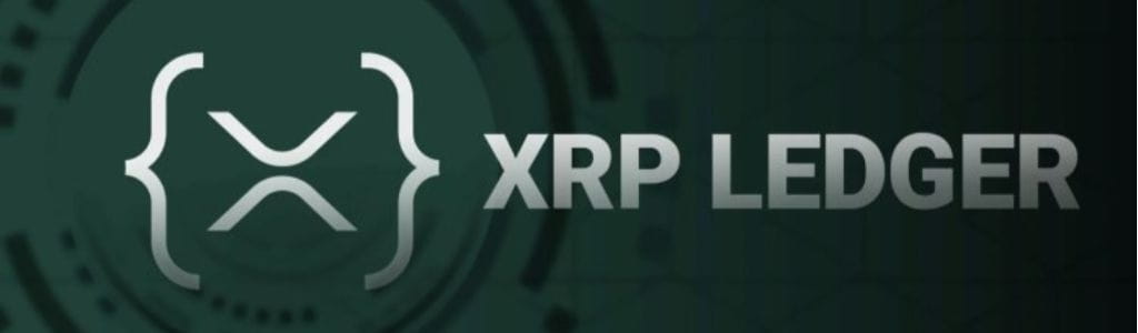 The number of wallets holding more than 100 million XRP has fallen