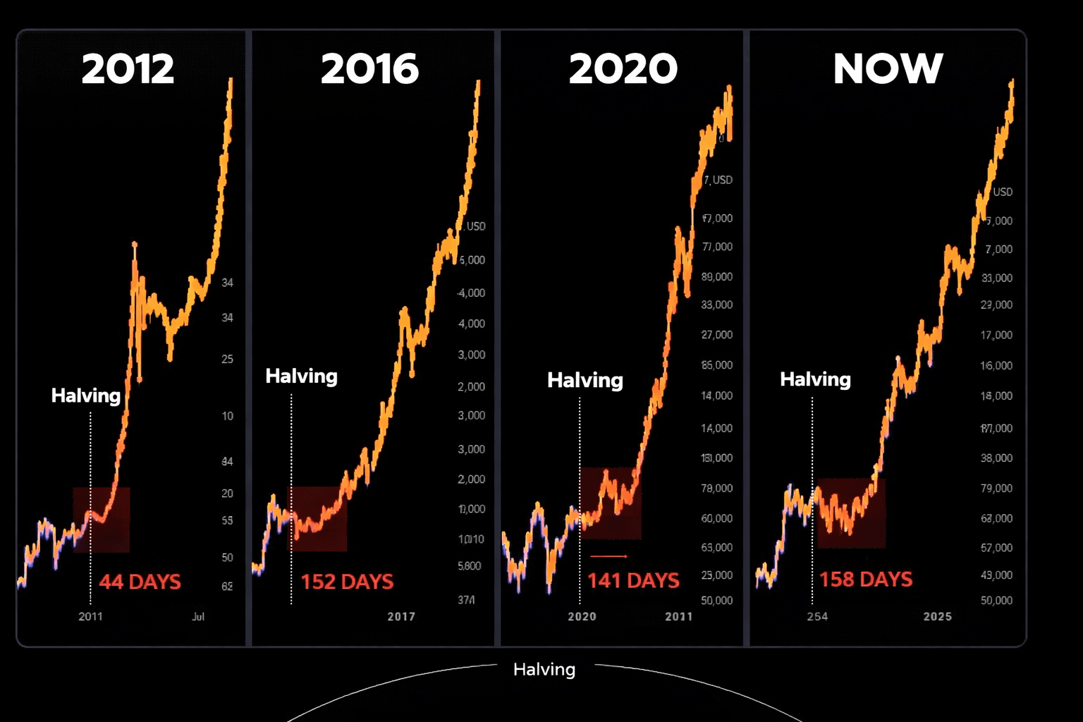 Bitcoin 2026: When the Halving frenzy passes and 