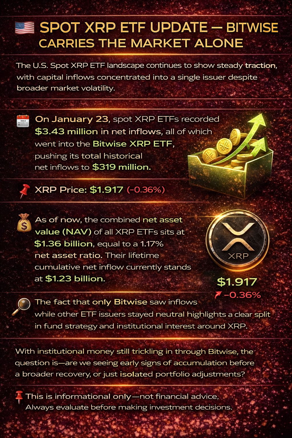 Amna Hamza 的个人资料| 币安广场