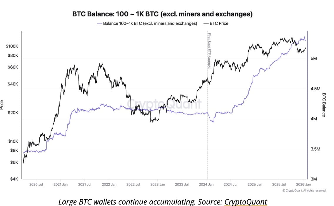 今日のビットコインニュース：CryptoQuantによると、市場のボラティリティにもかかわらずビットコインの機関需要は依然として強い |  Binance News － Binance Square