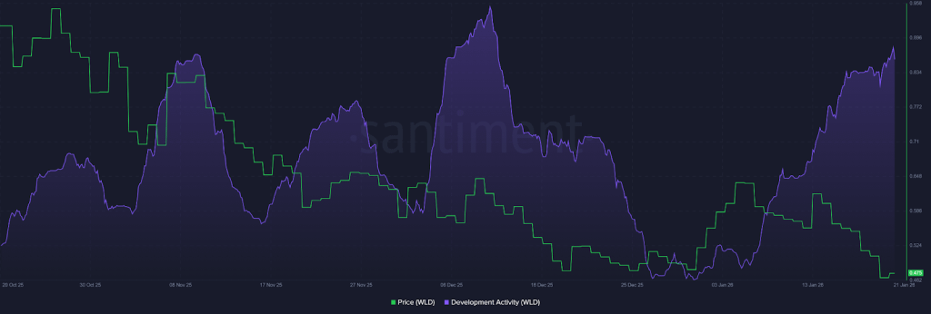 Worldcoin On Chain Activity
