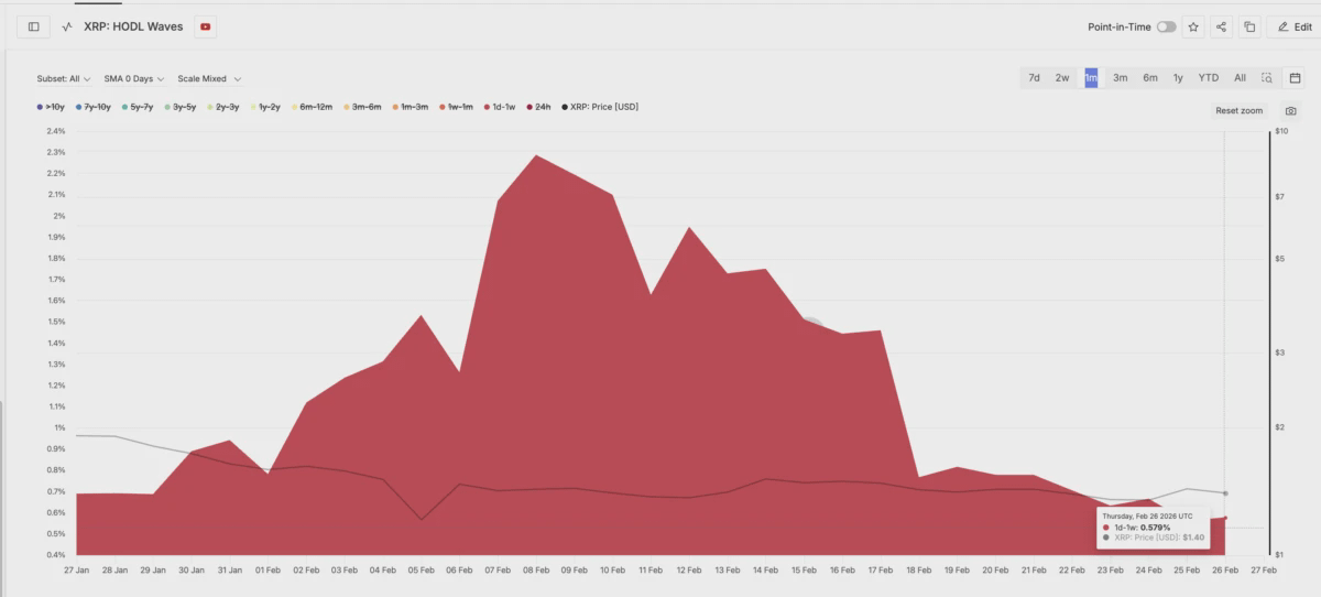Спекулятивные держатели