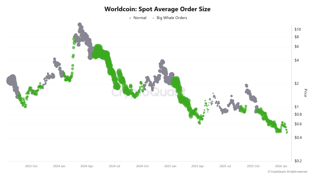 Worldcoin Spot Avg Order Size