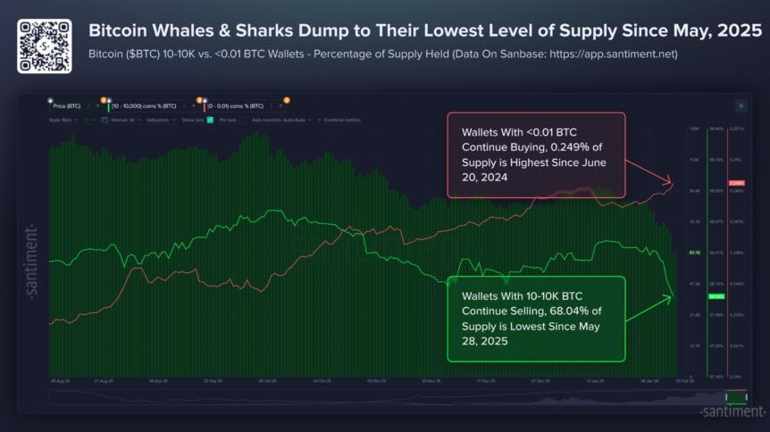 What’s Been Behind The Bitcoin Crash As Btc Falls To $60k