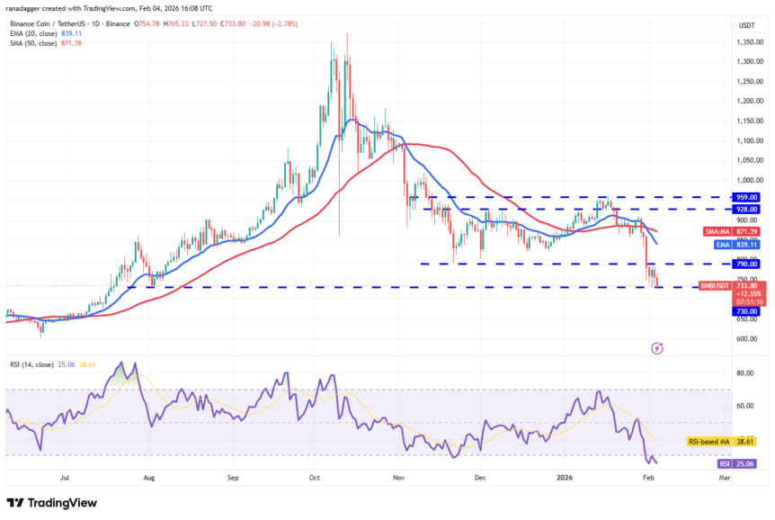 BNB/USDT daily chart