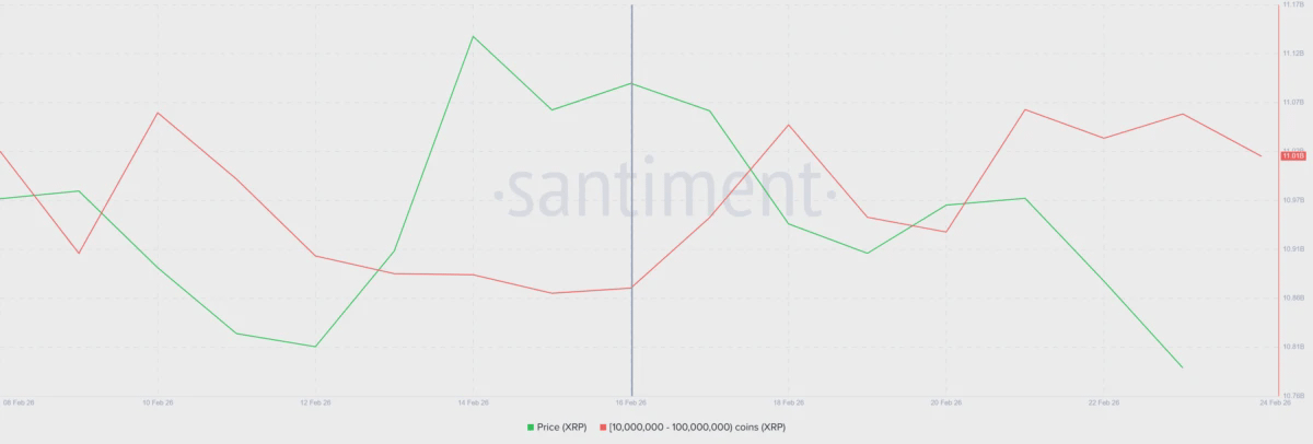 Активность крупных держателей XRP