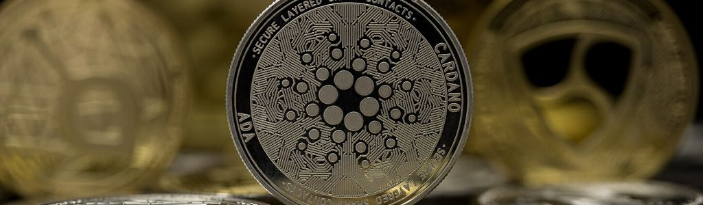 the foundation is pursuing a US-listed exchange-traded fund featuring ADA