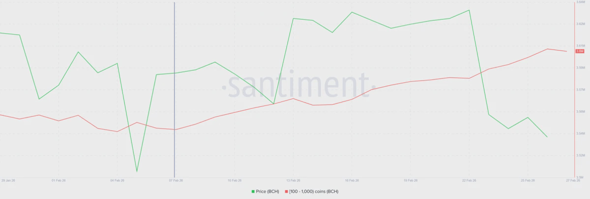 Накопление Bitcoin держателями