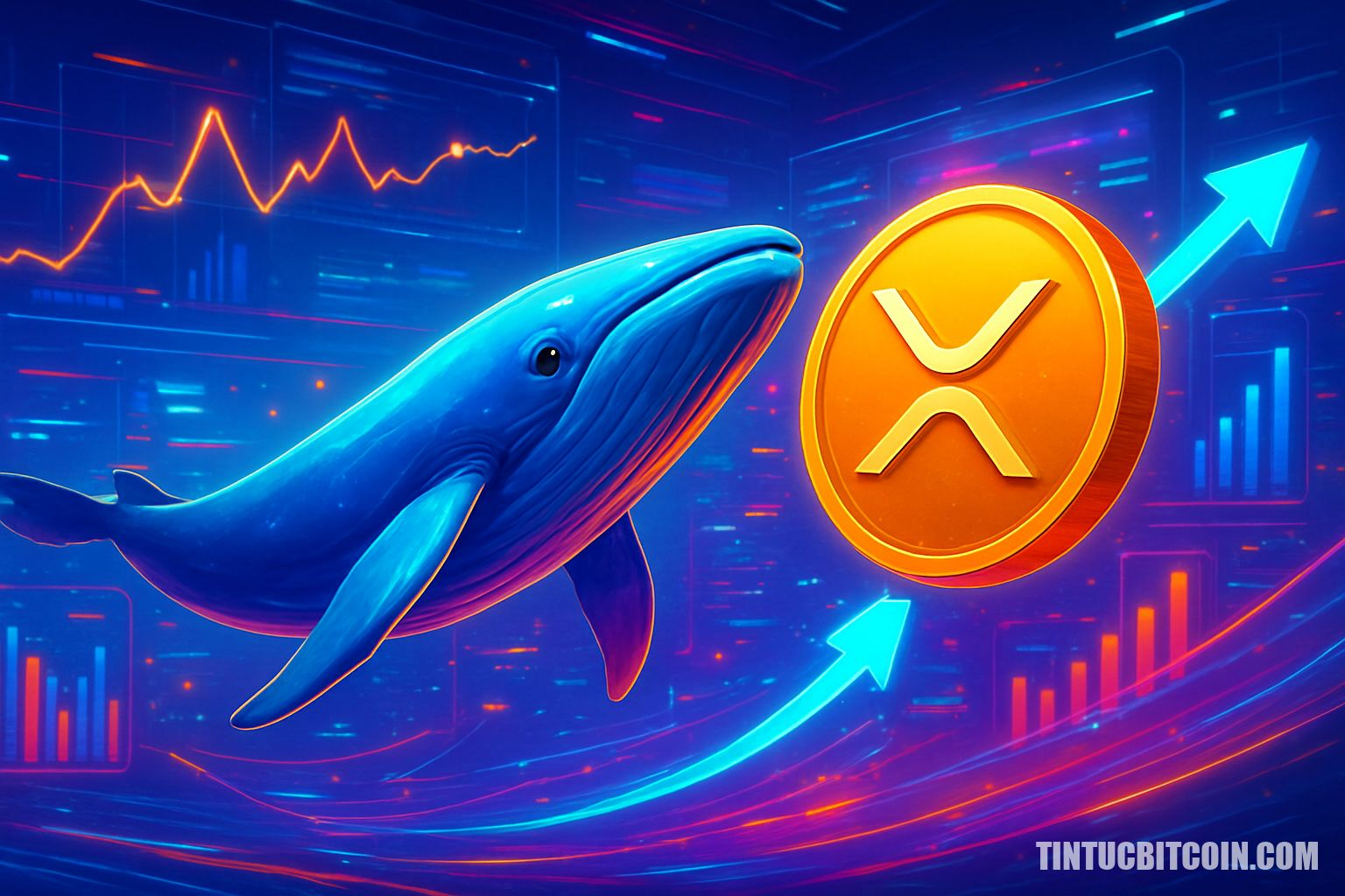 Cá voi và tổ chức thúc đẩy XRP, ATH mới có thể sắp tới