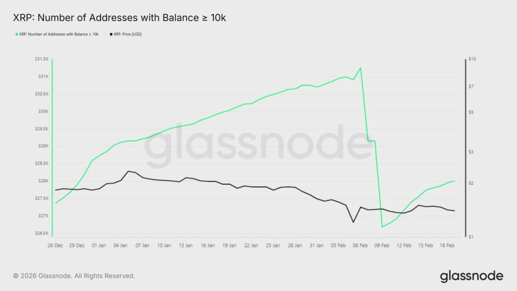Держатели XRP