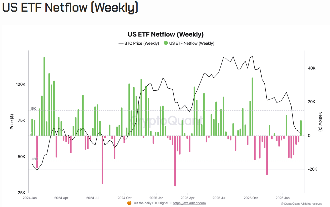 Bitcoin ETF Netflow