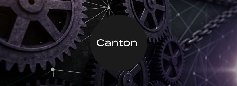 How Canton Network Works?