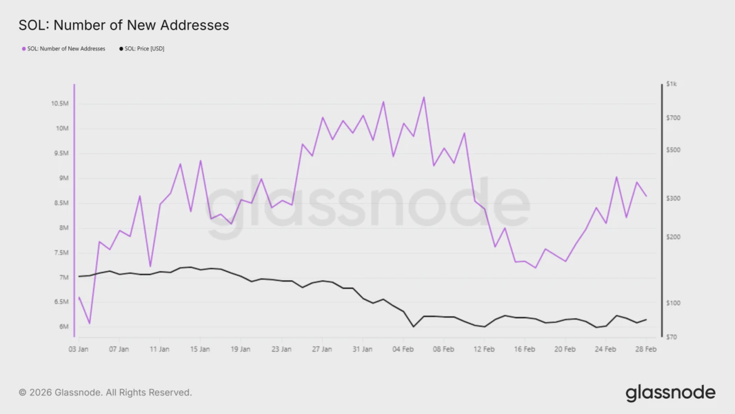 Новые адреса в сети Solana