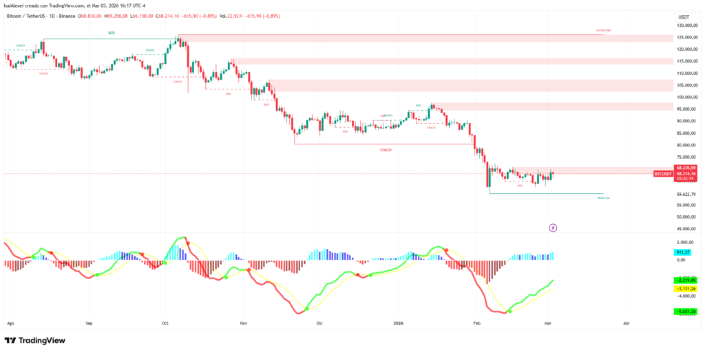 BTCUSDT_2026-03-03_16-17-41 (1)