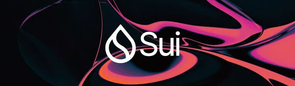 Sui faced a prolonged network outage that halted transaction processing for several hours