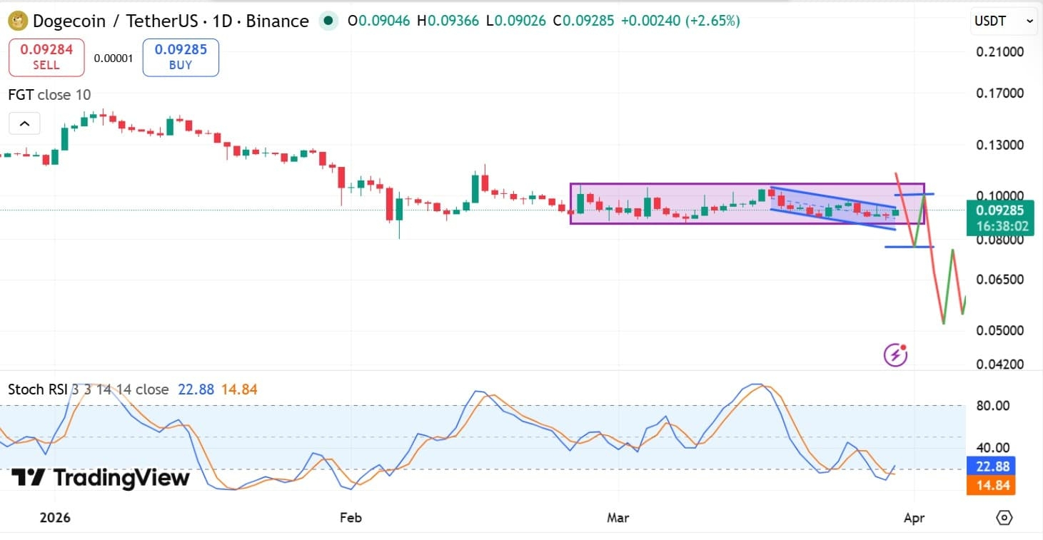 狗狗币未来大趋势