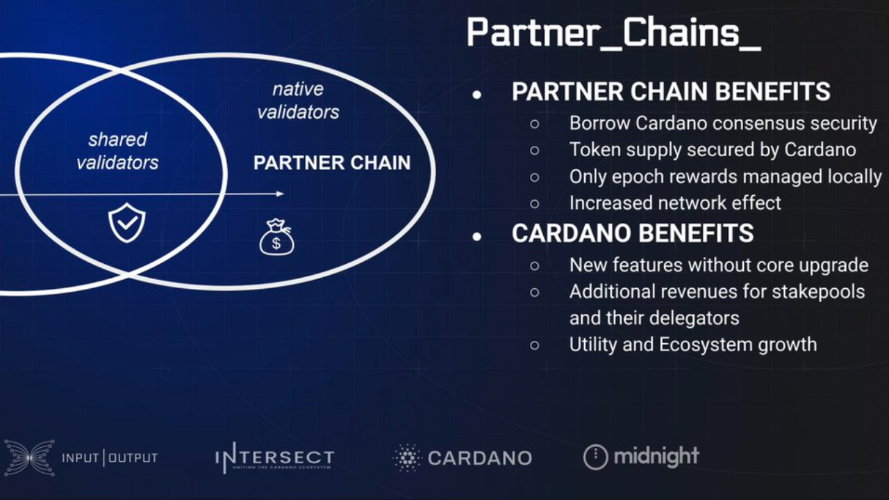 Midnight Network Partner Chain Model: Privacy as a Service for Whole ...