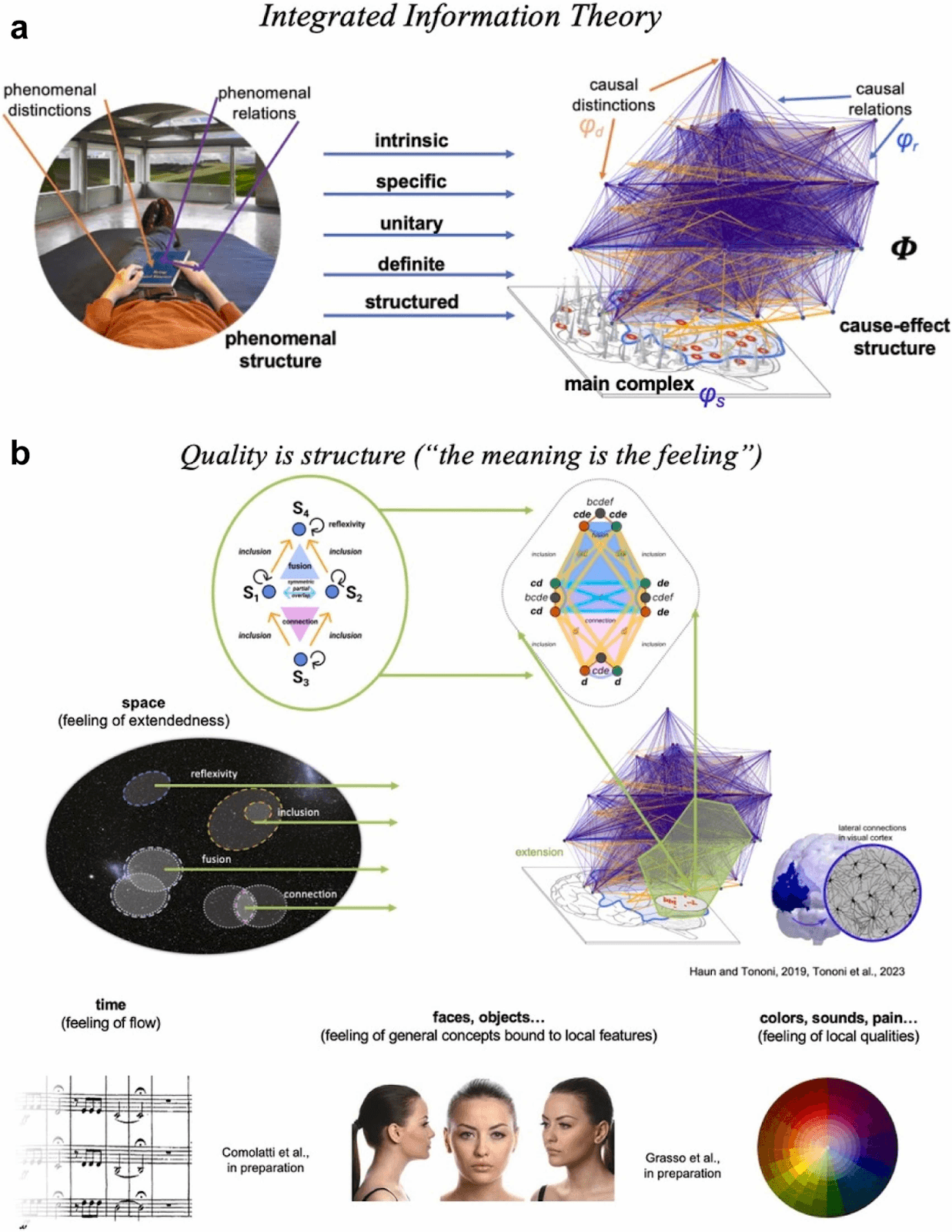 Integrated Information Theory diagram mapping the essential properties of consciousness to physical cause-effect structures