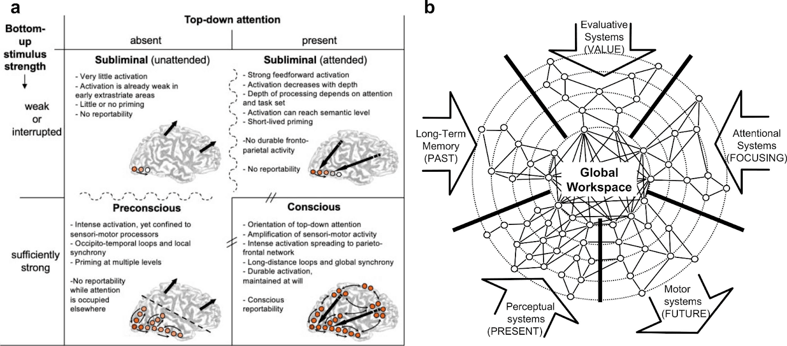 Global Neuronal Workspace Theory diagram showing how bottom-up stimulus strength and top-down amplification create the conditions for conscious access