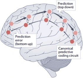 Predictive Processing theory diagram showing hierarchical prediction and prediction error minimization as a framework for understanding consciousness