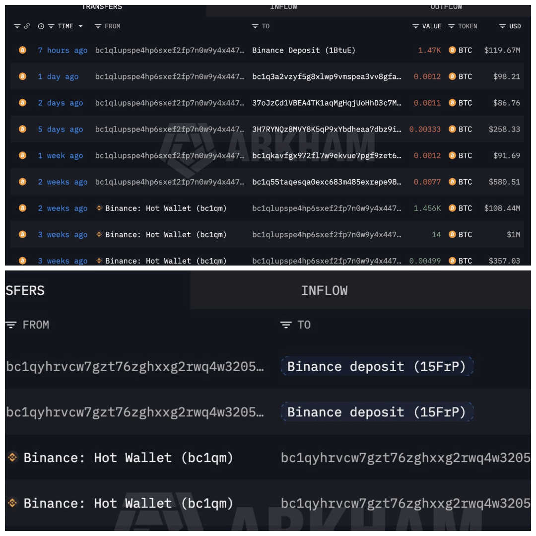 Bitcoin whale deposits