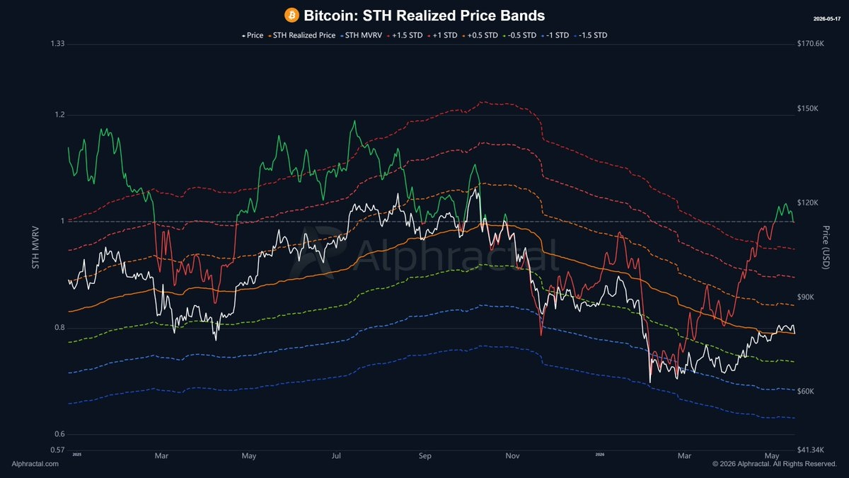 short-term holder realized price.